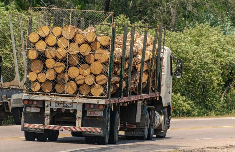 Troncos de acacia – Camión completo (50 estéreos)