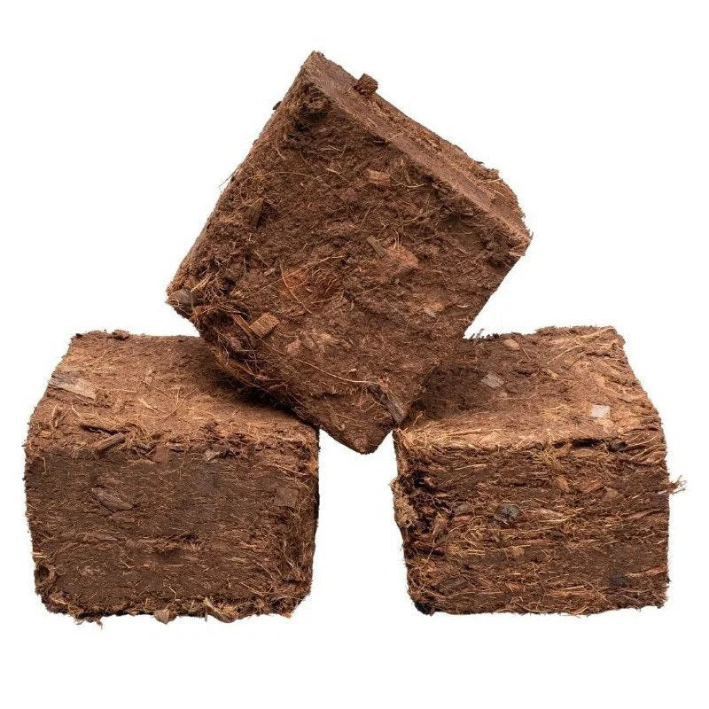 Briquetas de madera comprimida de larga duración – Especial para la noche